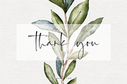 Watercolor Olive Branches & Wreaths, a Decorative Illustration by Pigment Café (Thumbnail 8 of 8)