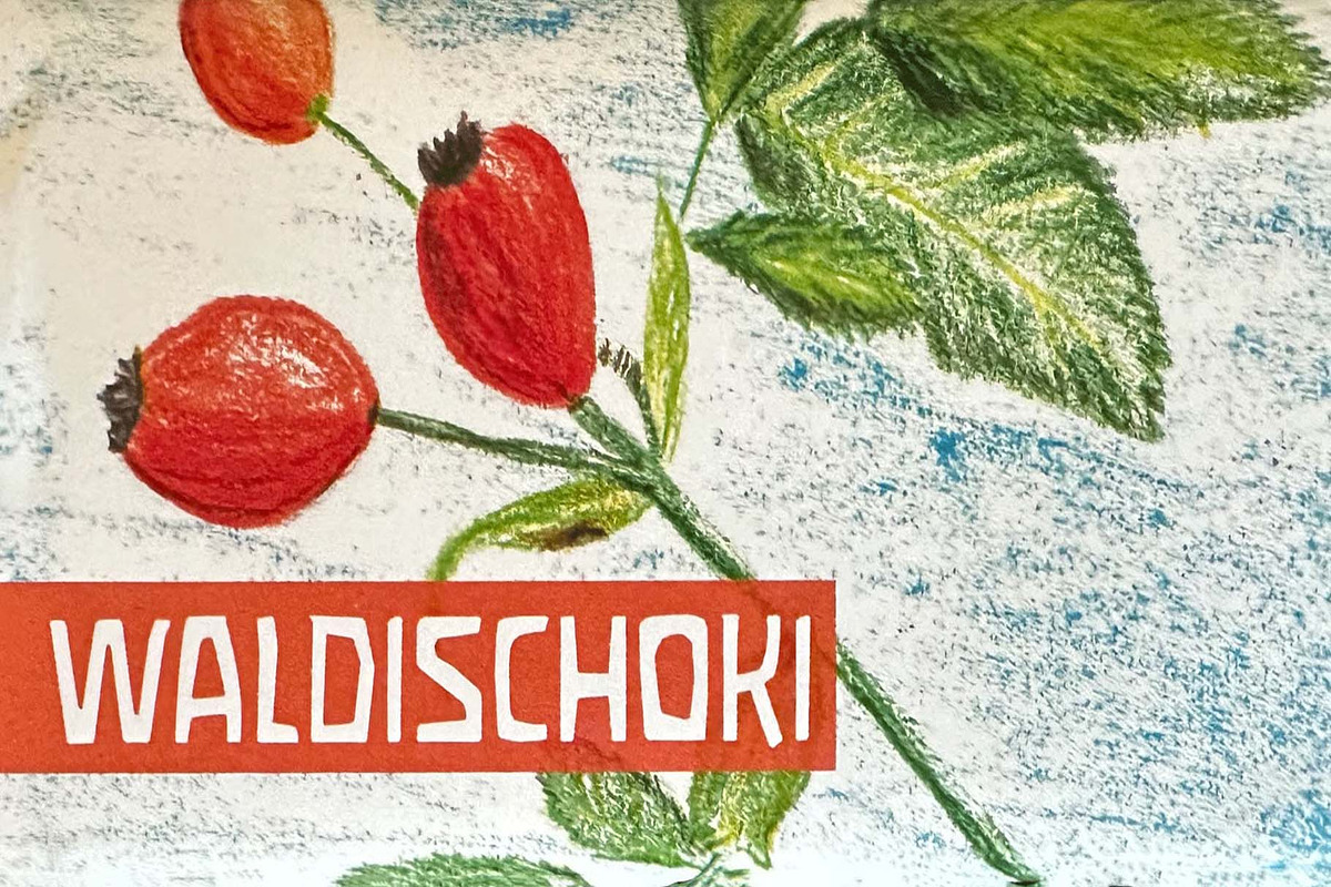 Waldorfschrift, a Handwritten Font by JoachimF (Photo 4 of 9)