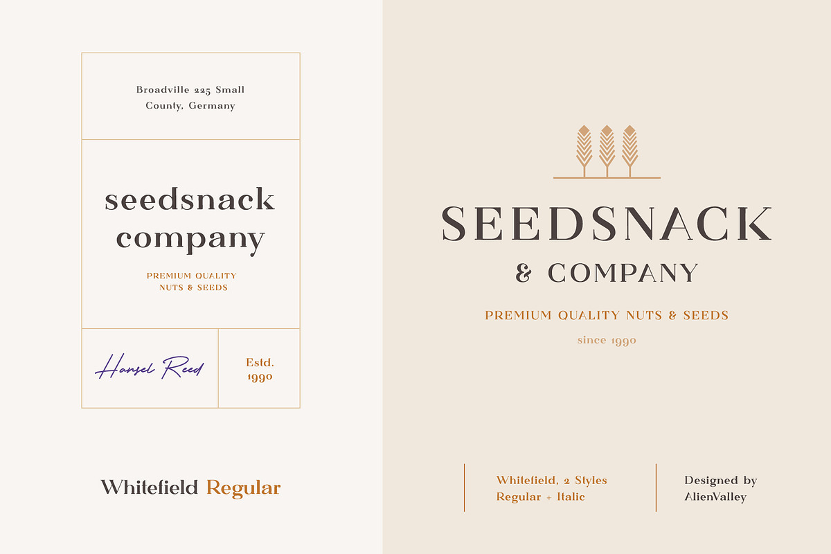 Whitefield - Handcrafted Serif, a Serif Font by AlienValley (Photo 7 of 8)