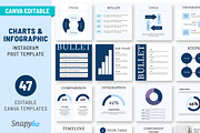 Instagram Charts and Graphs Template, a Presentation Template by Snapybiz (Thumbnail 1 of 8)