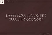Metanoia - Display Font, a Serif Font by Only Fonts (Thumbnail 10 of 11)