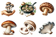 Watercolor Edible Mushroom Clipart, an Illustration by DreamArtGraphic (Thumbnail 3 of 5)