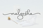 Malgosha Script, a Script Font by moriztype (Thumbnail 21 of 21)