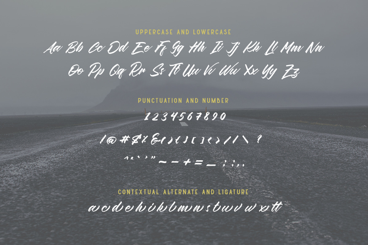 Wildlast Handbrush Typeface preview 4