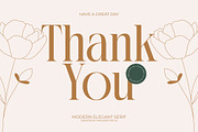 Rich Dashy Modern Elegant Serif, a Script Font by timelesstype.co (Thumbnail 20 of 20)