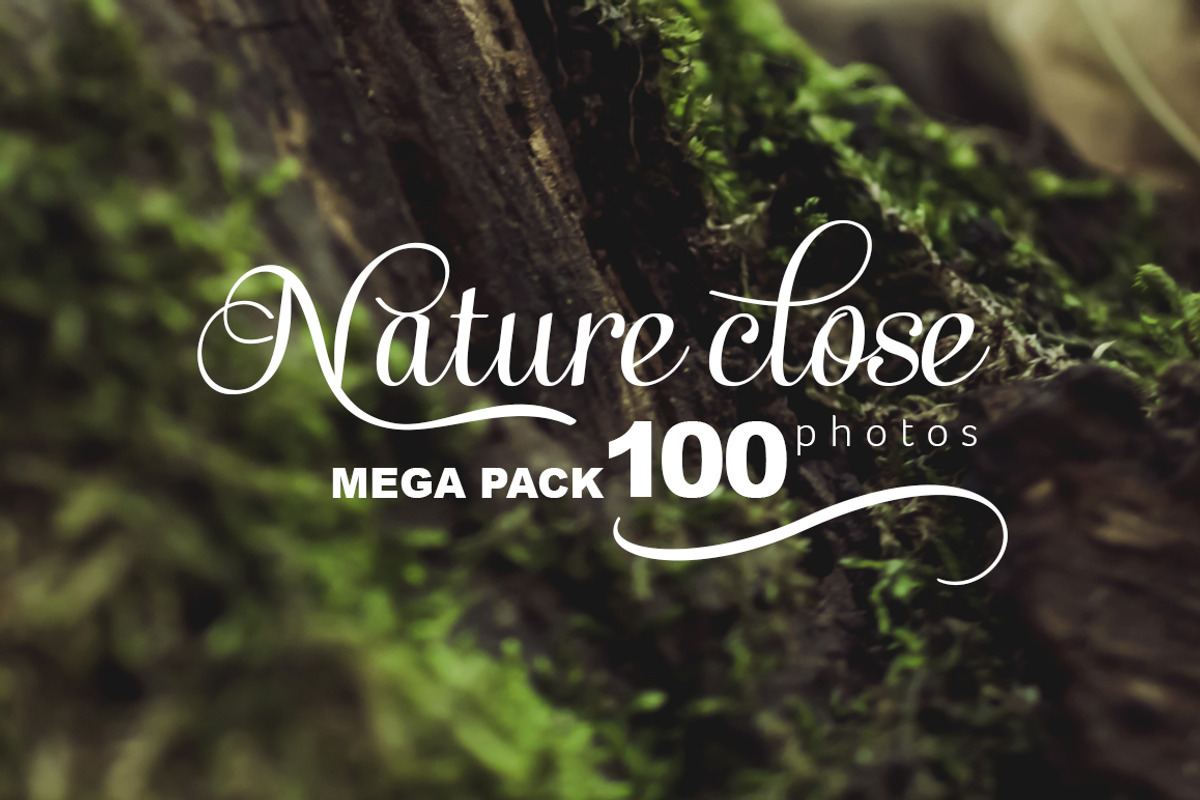 Nature close, a Templates & Theme by outlinez (Photo 1 of 5)