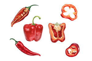 Watercolor red and chili peppers set