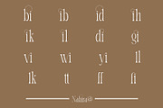 Nabira Modern Elegant Serif, a Serif Font by Alfinart (Thumbnail 8 of 10)