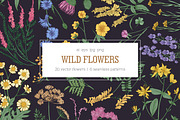Wild flowers,herbs,herbaceous plants, a Texture Illustration by Good Studio (Thumbnail 1 of 22)