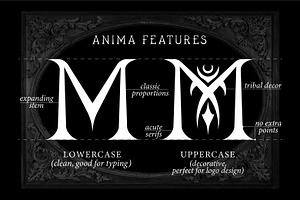 Anima - Tribal Mystical Logo Font