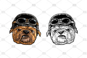 Head dog with human hat, an Animal Illustration by MoreVector (Thumbnail 2 of 4)