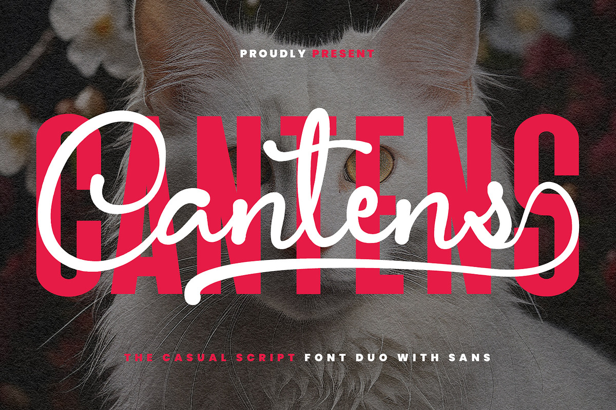 Cantens Casual Script Font Duo, a Script Font by Maulana Creative (Photo 1 of 6)
