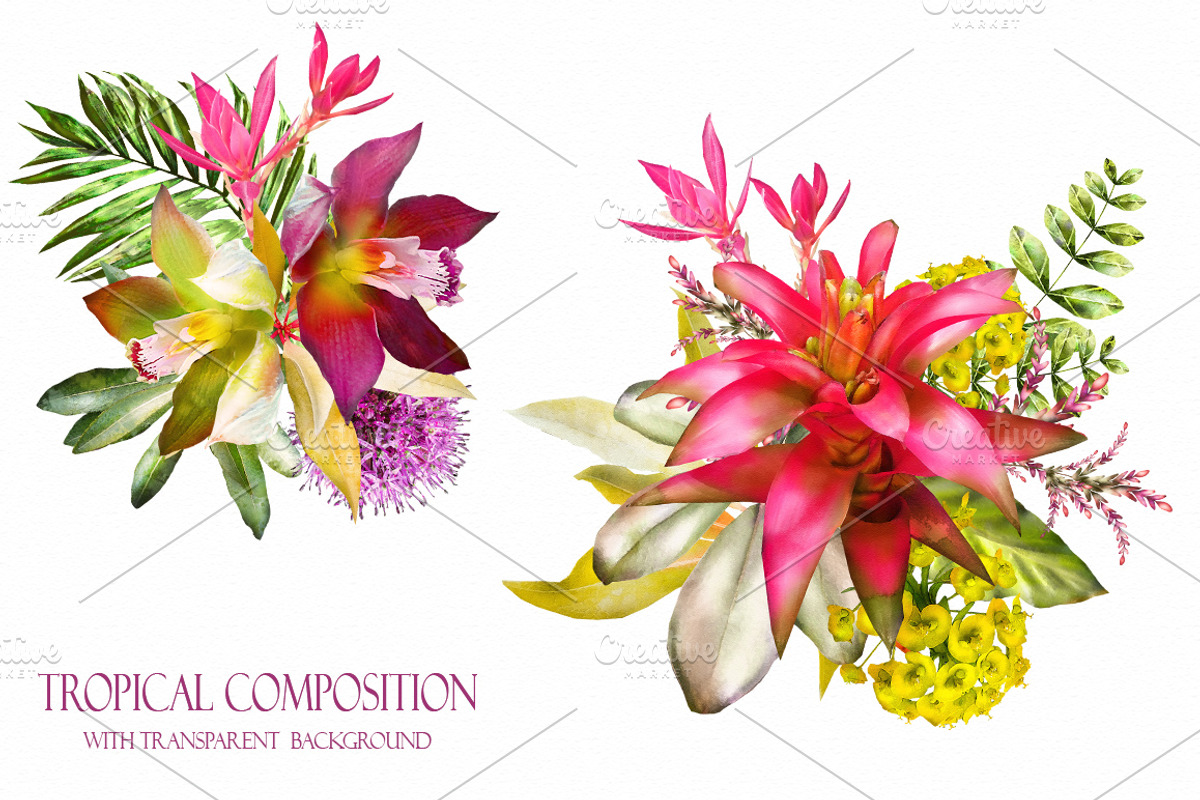 Tropical collection. Summer design., a Decorative Illustration by Lisima (Photo 14 of 19)