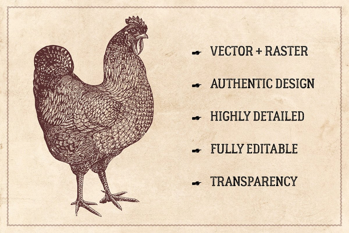 100 Vintage Farm Animals (Vector), an Animal Illustration by Brigantine Designs (Photo 2 of 7)