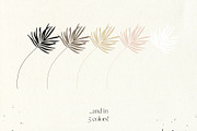 Palms & Paints Vector Elements, an Object Graphic by Touch and Form (Thumbnail 12 of 13)