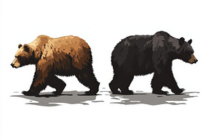 Two bears walking side by side brown, an Animal Photo by Pixeness Studio