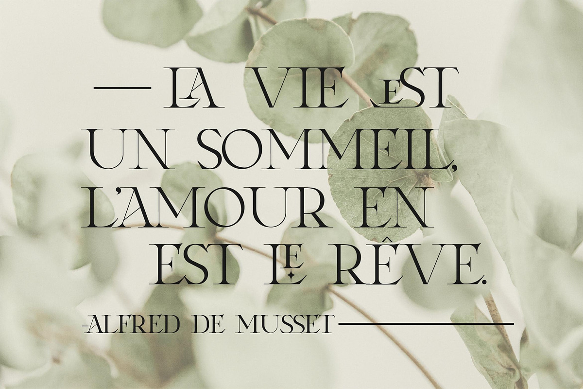 Laxura - Majestic Typeface, a Serif Font by CCS Type (Photo 15 of 28)