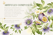 Passion Fruit Watercolor Clip Art, a Food Illustration by Elena Malgina Clipart (Thumbnail 4 of 16)