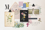 Meadow Wildflower Graphics, an Illustration by Twigs and Twine (Thumbnail 13 of 14)