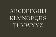 Agnostic Grace Elegant Serif Font, a Serif Font by UICreative (Thumbnail 2 of 13)