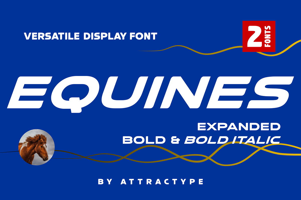 Equines Expanded Bold & Italic Pack, a Sans Serif Font by Attractype (Photo 1 of 6)