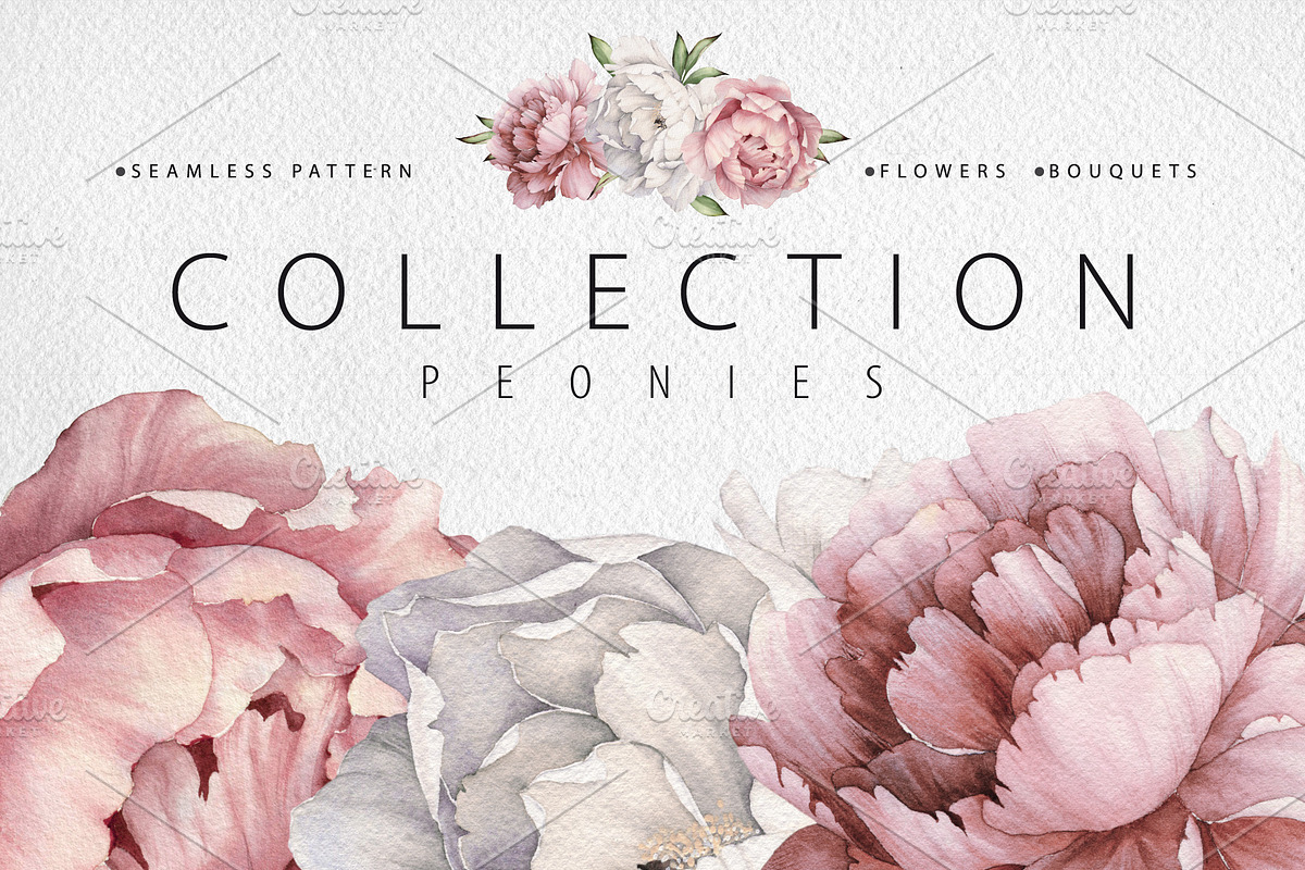 PEONY COLLECTION, a Decorative Illustration by ollalya (Photo 1 of 6)