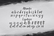 Hontizema - Handwritten Font, a Script Font by StringLabs (Thumbnail 12 of 12)