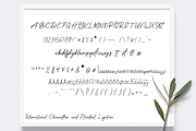 Mandalletta Script Font, a Script Font by Gookkis Studio (Thumbnail 6 of 7)