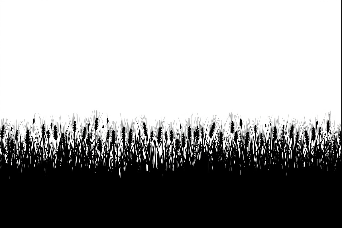 Rustic Wheat Field Vector Borders, an Illustration by hafijul (Photo 3 of 9)