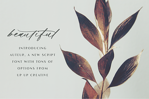 Auteur Calligraphy Script Font