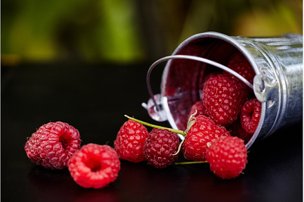 Fresh ripe raspberries in a metal, a Food & Drink Photo by Rohan Photography