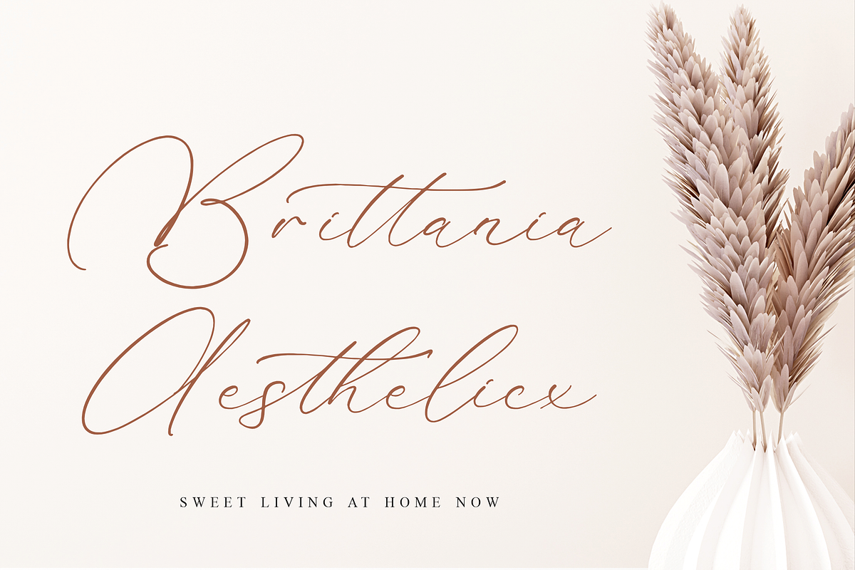 Madyntha Geradine Chic Calligraphy, a Script Font by Storytype Studio (Photo 4 of 15)