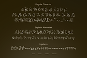 Saphorodite Handwriting Font, a Font by Haps Space (Thumbnail 9 of 12)