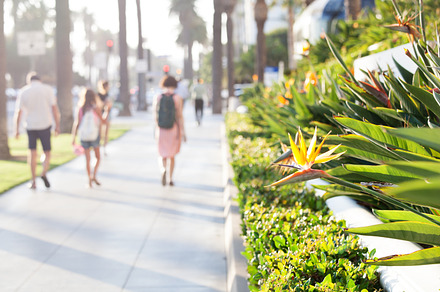 Promenade in santa monica, california