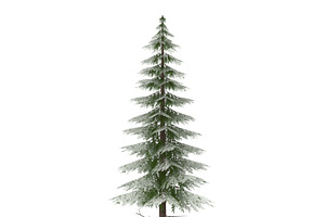 Canadian Spruce Tree Snow V3