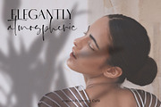 Leafy Botanical Shadow Overlays, a Background Graphic by Pigment Café (Thumbnail 3 of 8)