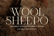 Monse Ligature Serif Font, a Serif Font by Graphicxell (Thumbnail 6 of 8)