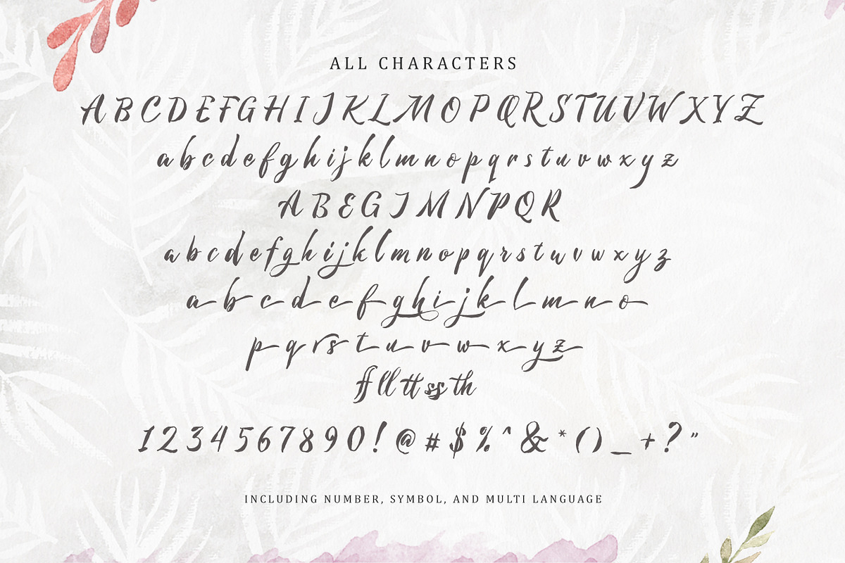 Michelle Brush Script preview 8