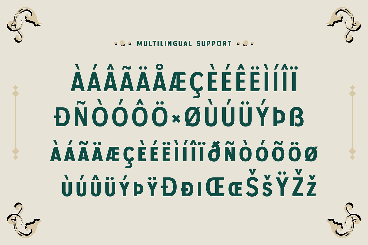 Palmera - Vintage Font, a Sans Serif Font by Mine Type Lab (Photo 7 of 10)