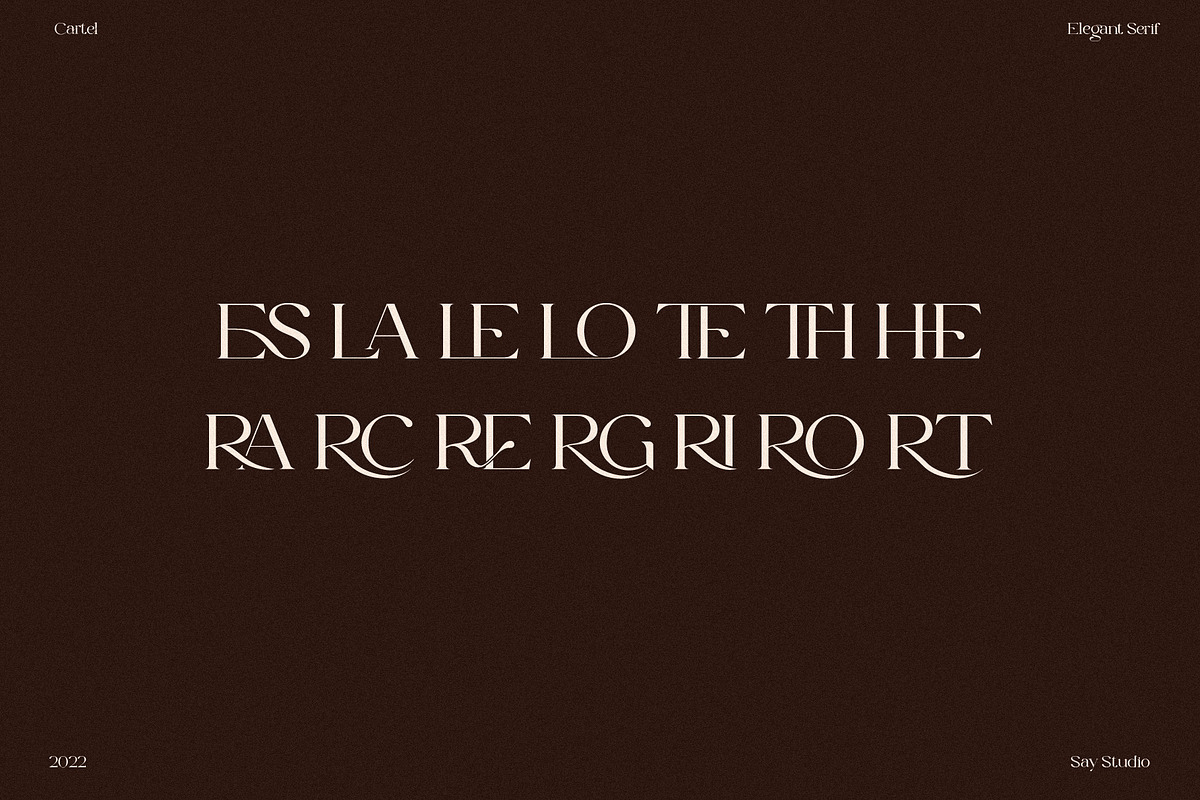 The Cartel - Elegant Serif Font, a Serif Font by Say Studio (Photo 14 of 19)