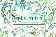 Eucalyptus Watercolor Greenery, a Healthcare Illustration by LABFcreations (Thumbnail 5 of 11)