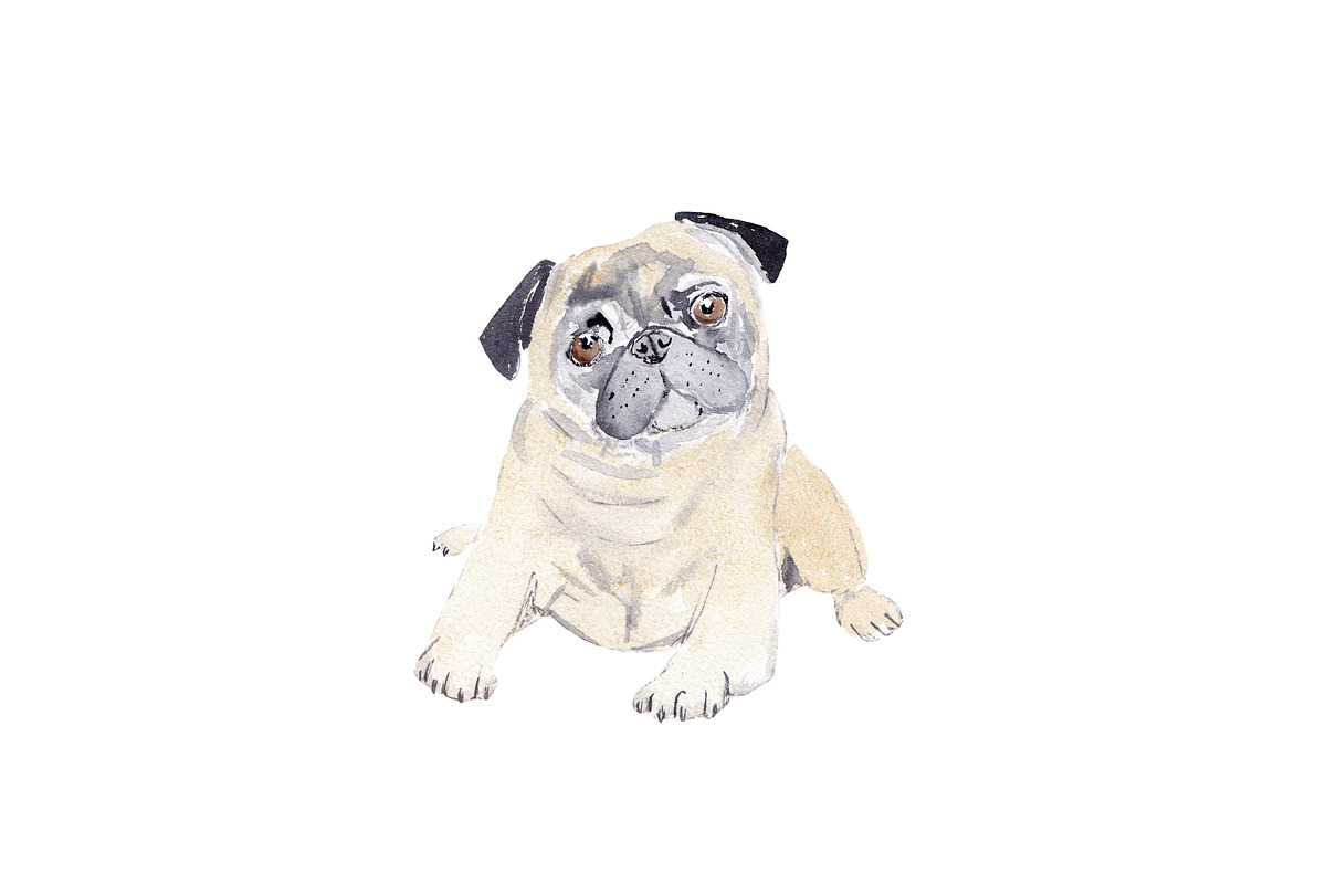 Pug Dog Illustration Bundle, an Illustration by Foxery Digital (Photo 3 of 8)