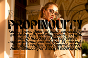 Categories Elegant Font, a Sans Serif Font by 177Studio (Thumbnail 5 of 8)