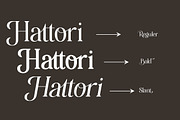 Hattori Elegant Font, a Serif Font by Zane Studio (Thumbnail 11 of 13)