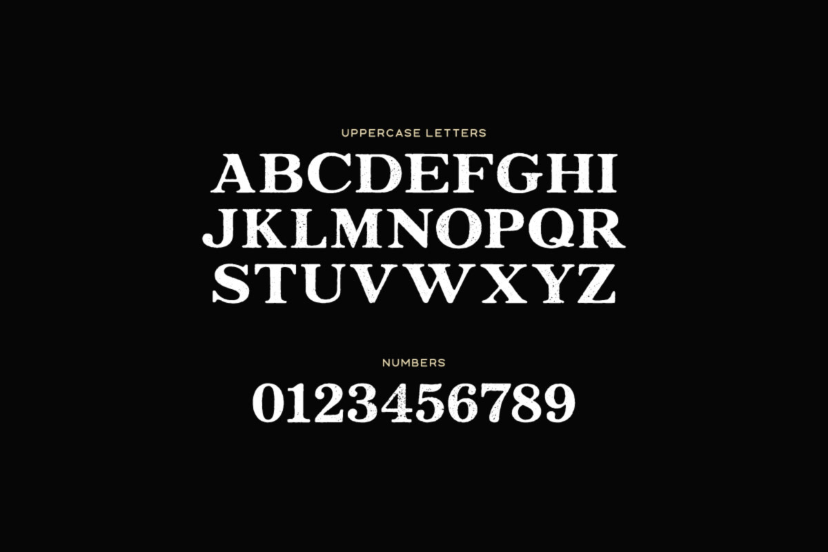 Gristle Typeface, a Serif Font by Tugcu Design Co. (Photo 2 of 4)