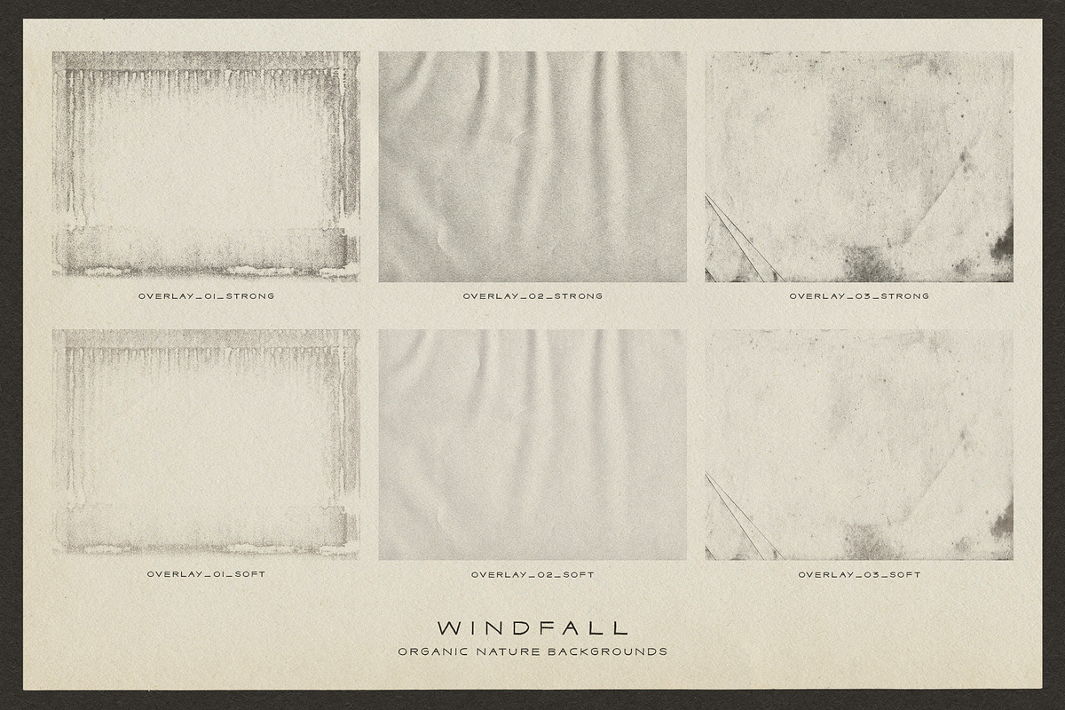 Windfall Organic Nature Backgrounds, a Background Graphic by alonahaidash (Photo 13 of 14)