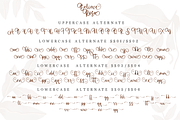 Believe Rosa - Font Duo, a Script Font by Silverdav (Thumbnail 11 of 11)