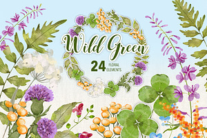 Wild Green Collection
