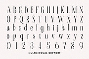 Aurora Moonlight Dreamy Serif, a Serif Font by Letterhend Studio (Thumbnail 12 of 12)