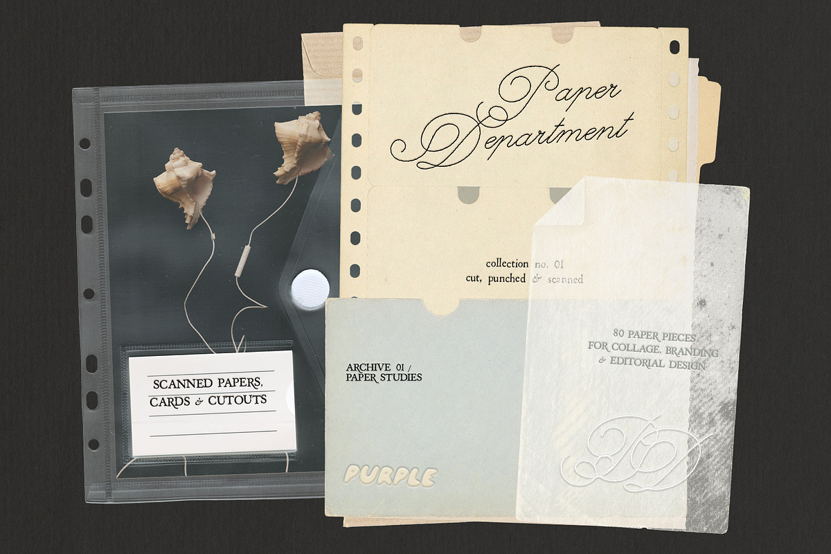 Paper Department: Paper Scans, an Object Graphic by Purple (Photo 1 of 9)